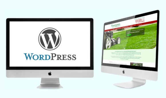 Wordpress Web Design & Support