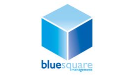 Blue Square Management