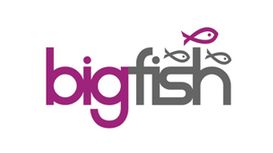 BigFish BigFish