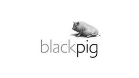 Black Pig