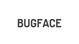 Bugface Web Design