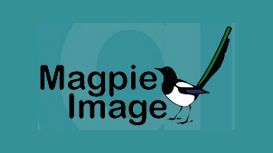 Magpie Image