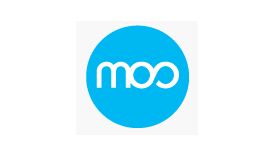 Moo Web Design