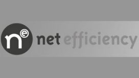 Net Efficiency