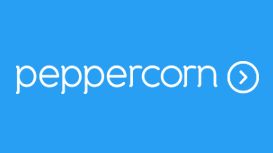 Peppercorn Web Design