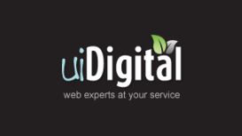 UiDigital - Web Design Berkshire