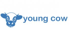 Young Cow